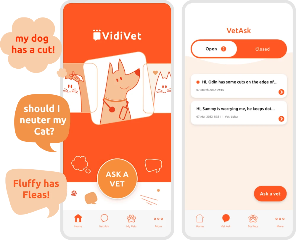 Vidivet App