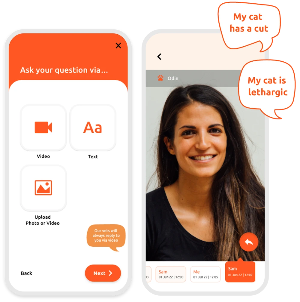 Vidivet Signup